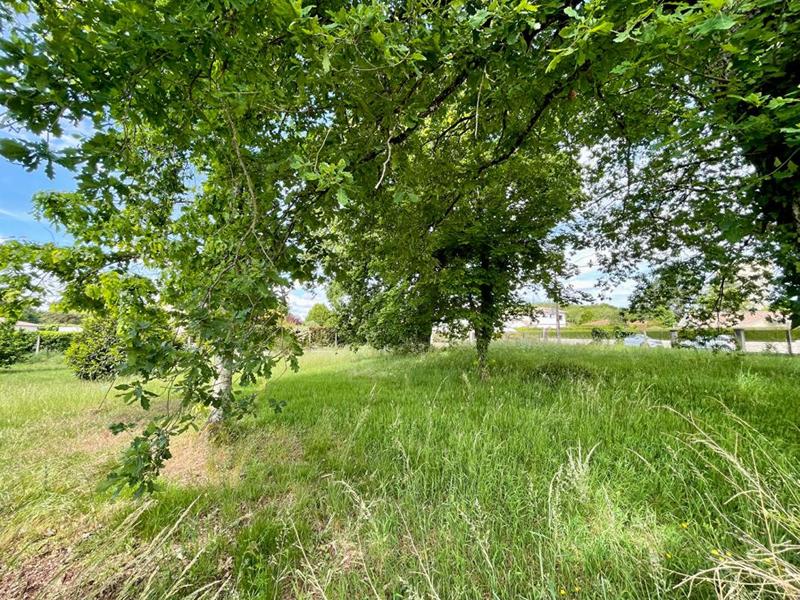 Terrain constructible - 1 119 m²