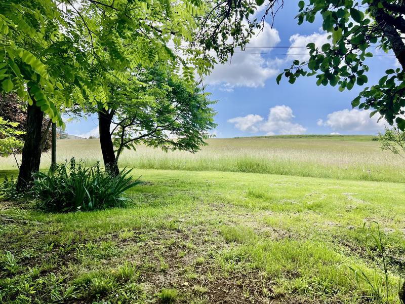 Maison traditionnelle - 222 m² - 6 pièces