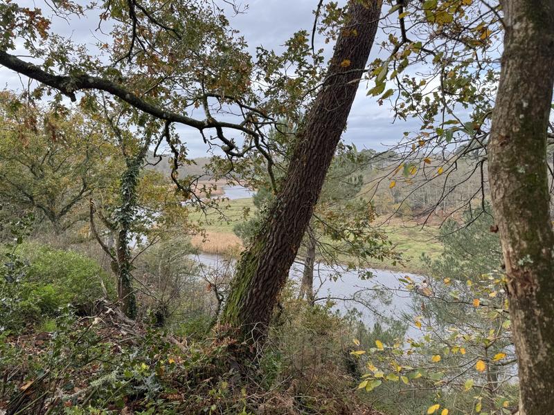 Maison - 173 m² - 7 pièces