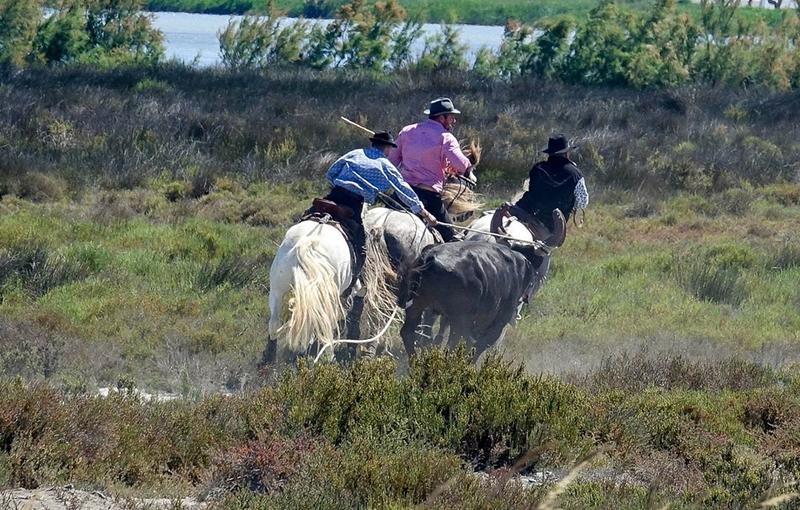 Fête de Pin Fourcat