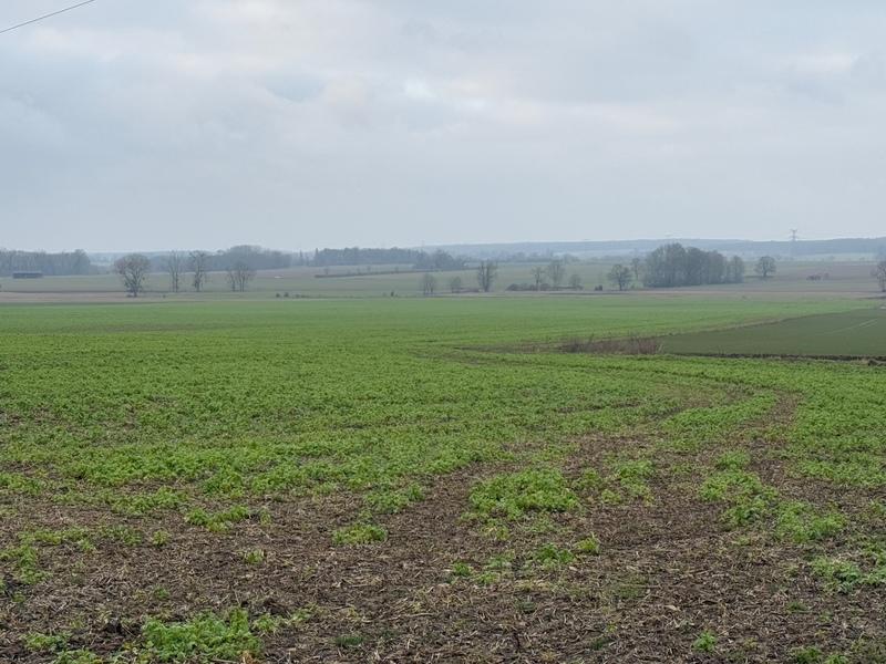 Terrain constructible - 500 m²