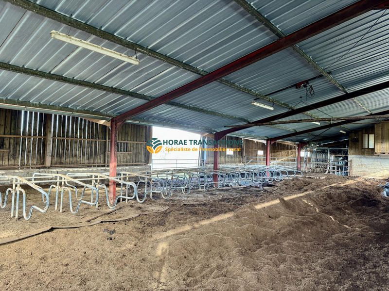 Ferme - 600 m² - 1 pièce