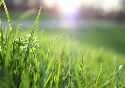 Terrain agricole - 3 440 m²