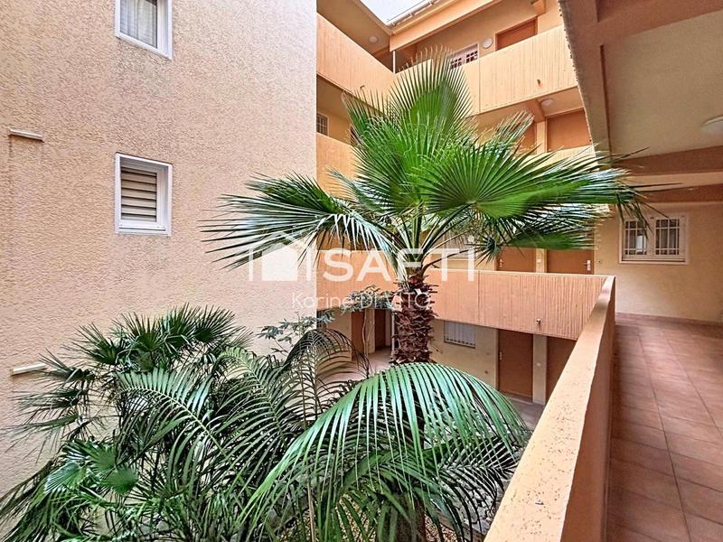 Appartement - 36 m² - 2 pièces