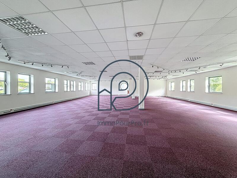 Bureau - 132 m²