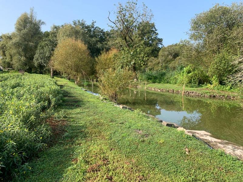 Maison - 30 m² - 2 pièces