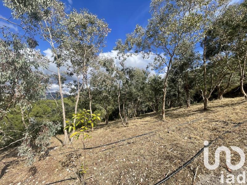 Terrain agricole - 10 100 m²