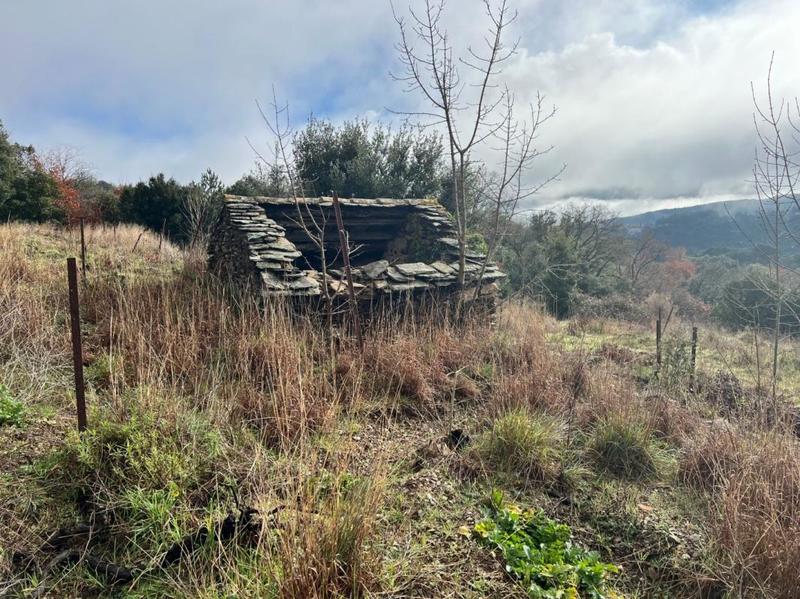 Terrain - 10 545 m²