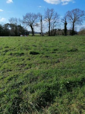 Terrain constructible - 992 m²