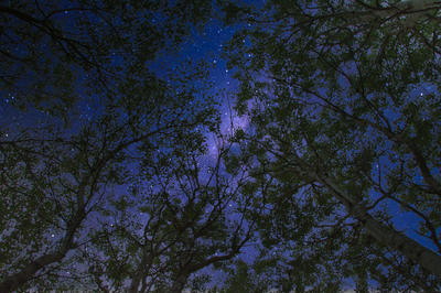 Marche contée : a l'affût des rois mages