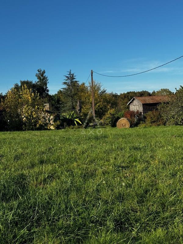 Propriété viticole - 129 m² - 5 pièces