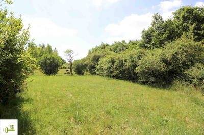 Maison - 166 m² - 7 pièces