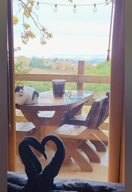 Propriété - 250 m² - 11 pièces