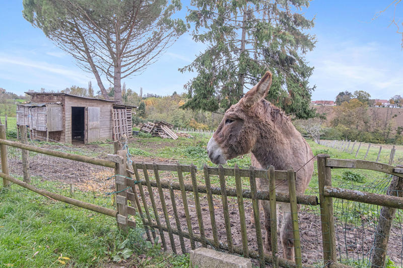 Maison - 235 m² - 9 pièces