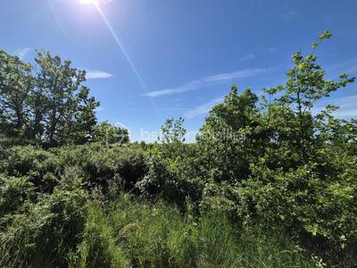 Terrain - 26 139 m²