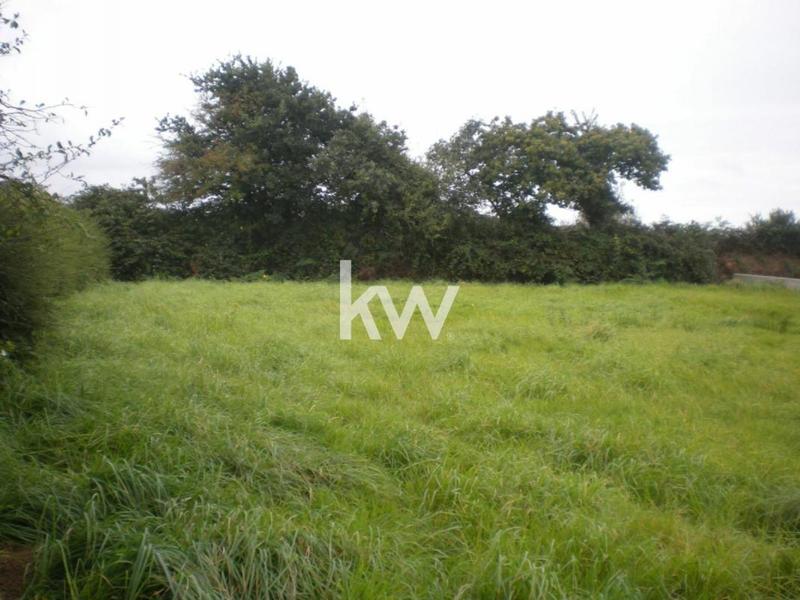 Terrain constructible - 1 742 m²