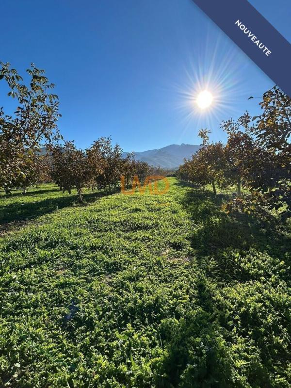 Mas - 288 m² - 5 pièces