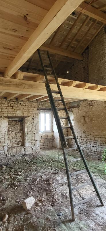 Maison ancienne - 300 m² - 8 pièces