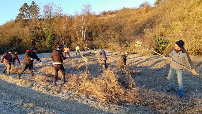Chantier nature participatif