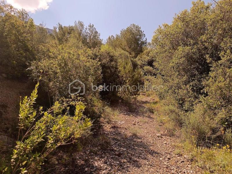 Terrain agricole - 12 490 m²