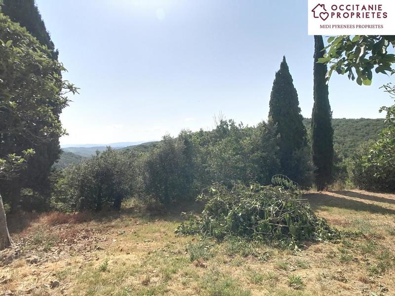 Propriété - 360 m² - 10 pièces