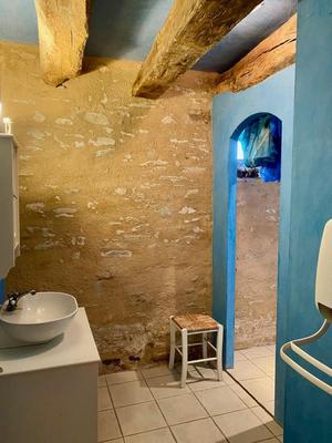 Maison ancienne - 430 m² - 19 pièces