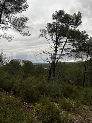 Terrain - 14 680 m²