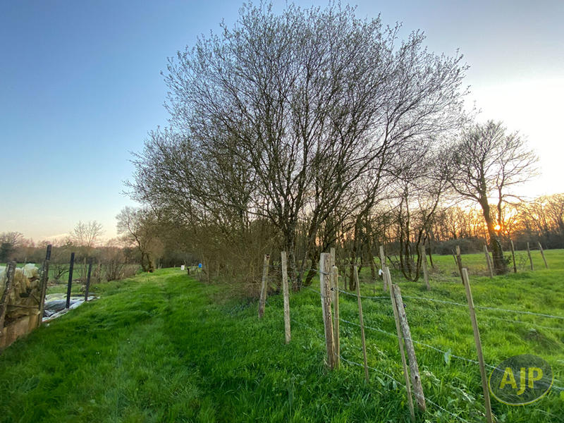 Maison - 154 m² - 5 pièces