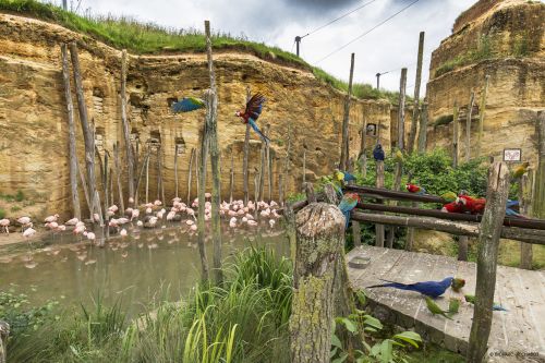 Bioparc - Zoo de Doué-la-Fontaine