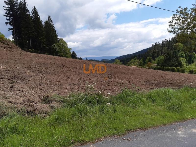 Terrain constructible - 1 453 m²