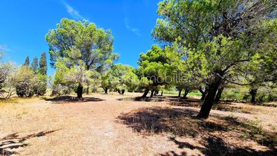 Demeure - 299 m² - 8 pièces