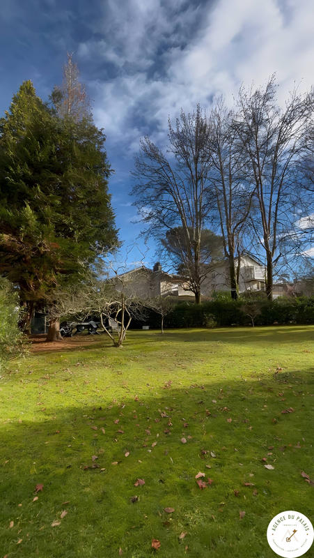 Appartement - 55 m² - 2 pièces