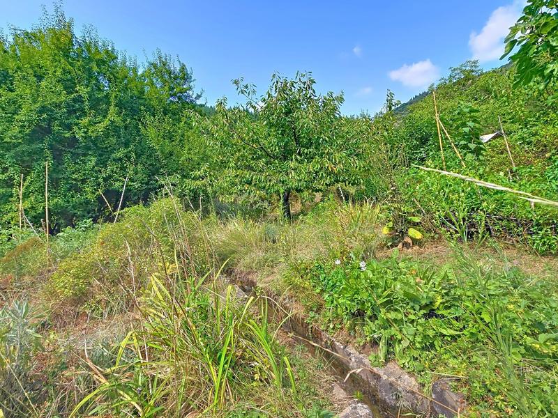 Maison de village - 205 m² - 9 pièces