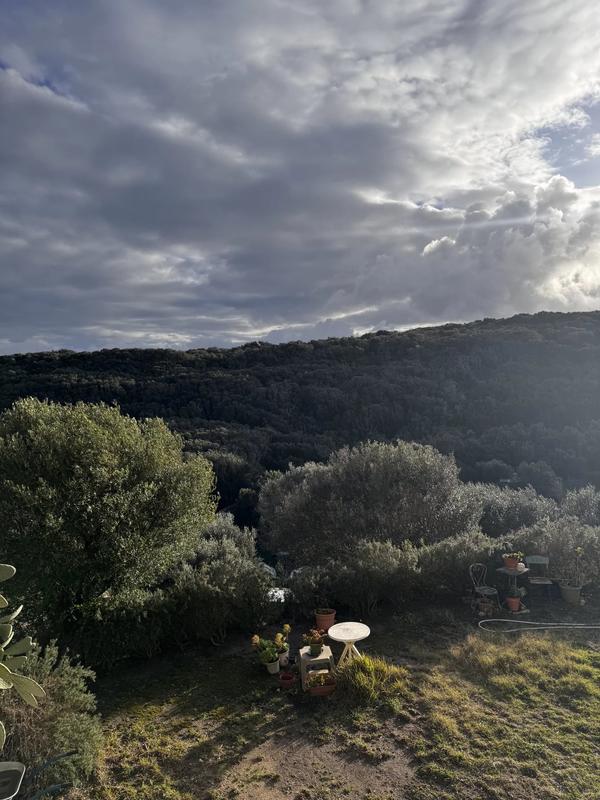 Maison - 274 m² - 10 pièces