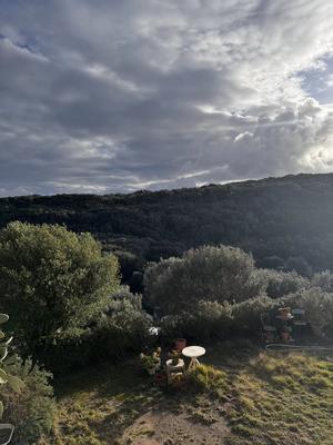 Maison - 274 m² - 10 pièces