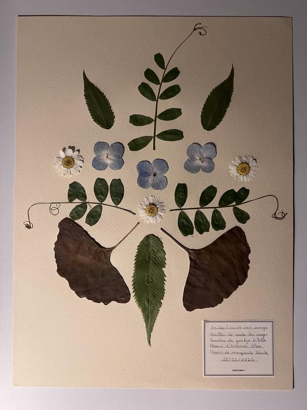 Colonne de la Grande Armée - le semis du parc