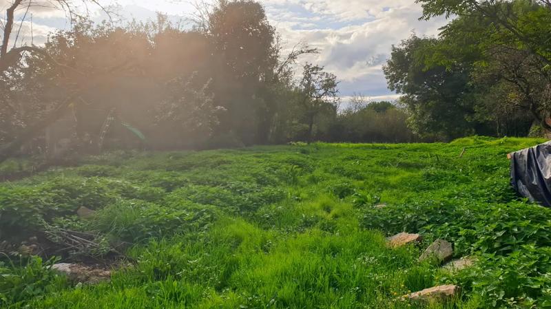 Maison - 200 m² - 6 pièces