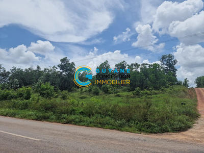 Terrain agricole - 5 000 m²