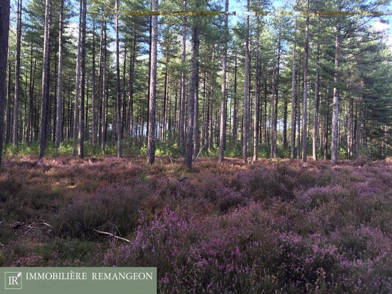 Demeure - 460 m² - 10 pièces