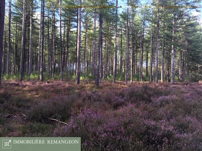 Demeure - 460 m² - 10 pièces