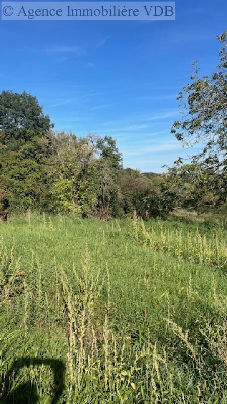 Terrain constructible - 446 m²