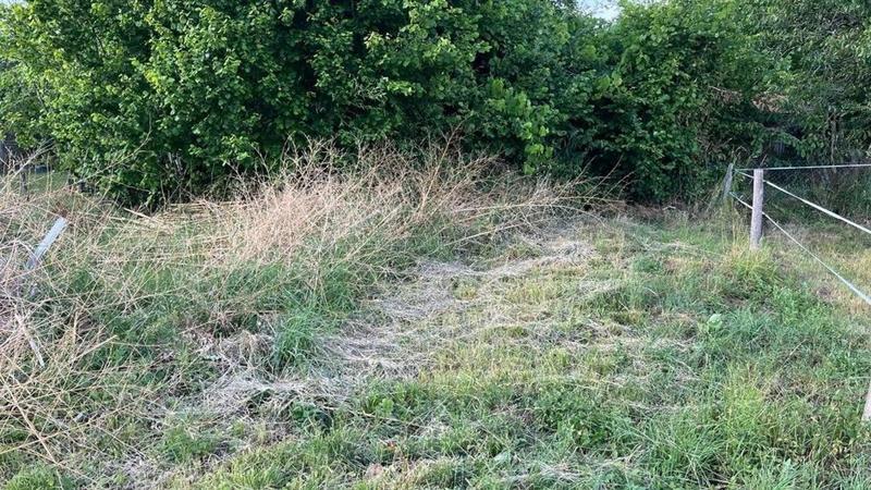 Maison - 65 m² - 3 pièces