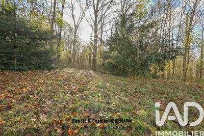 Maison de campagne - 160 m² - 6 pièces