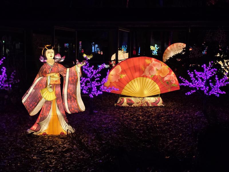 L'Odyssée Lumineuse