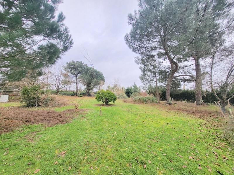 Terrain constructible - 3 099 m²