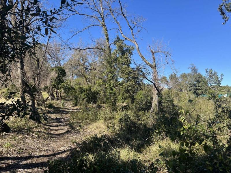 Terrain constructible - 1 050 m²