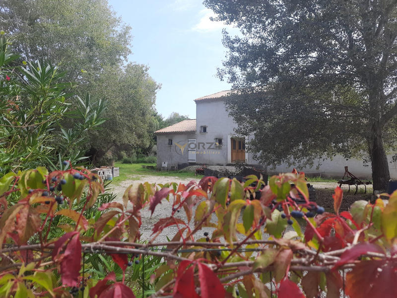 Maison - 492 m² - 12 pièces