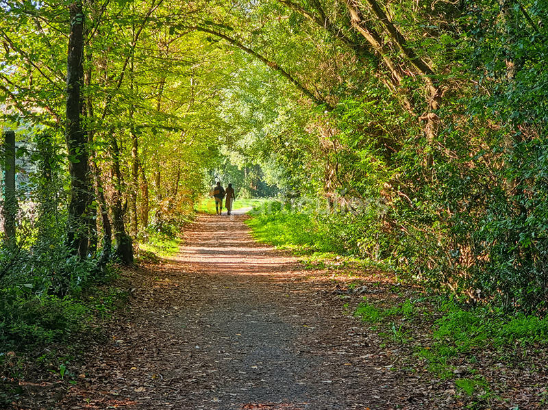 Appartement - 110 m² - 5 pièces