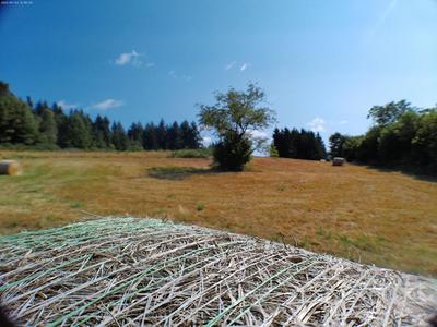 Terrain constructible - 4 941 m²