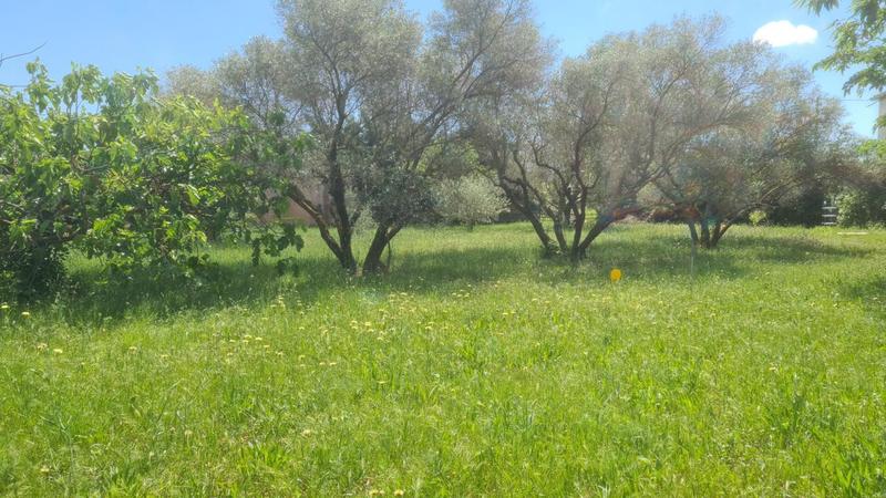 Terrain constructible - 817 m²